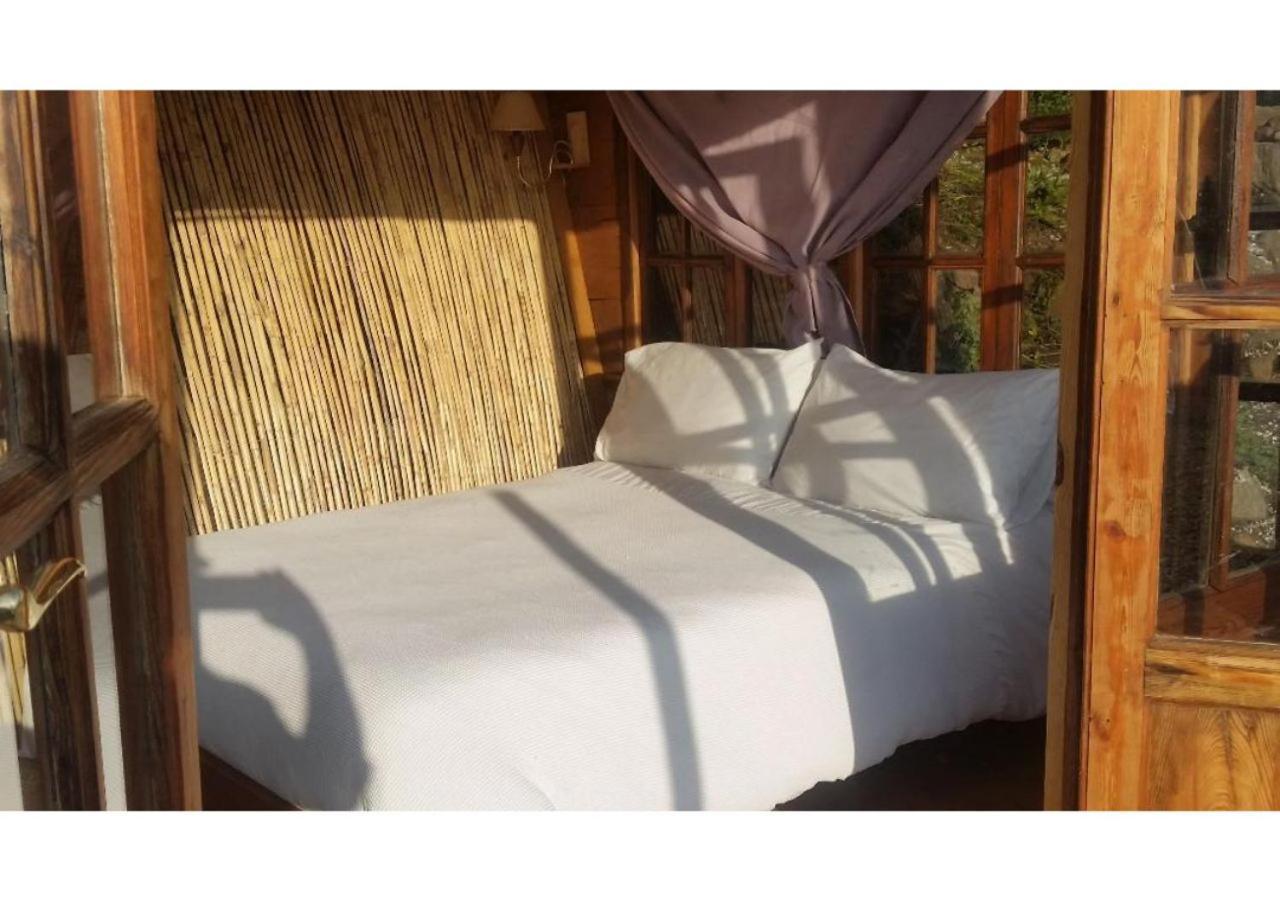 Treehouse ,Casa Arbol, With Spa 알가로보 외부 사진