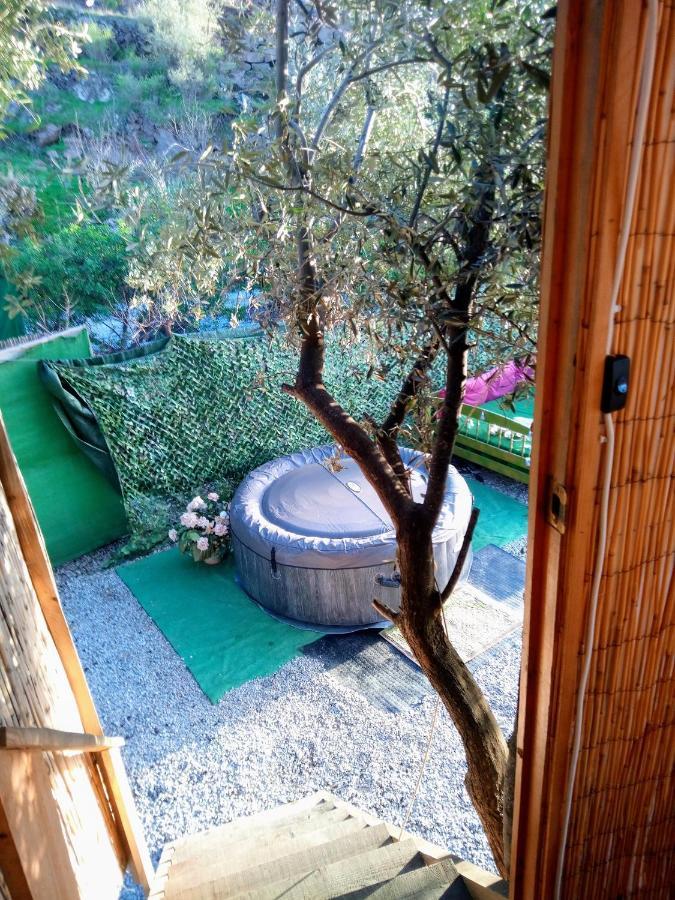 Treehouse ,Casa Arbol, With Spa 알가로보 외부 사진
